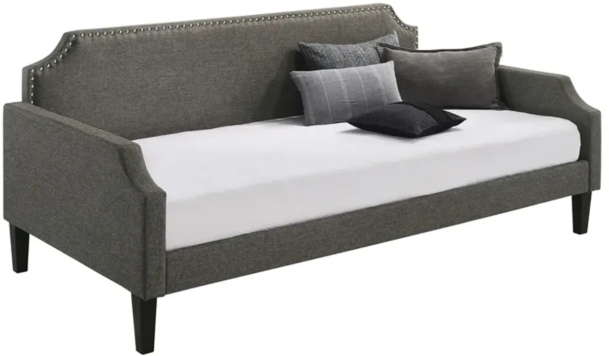 Coaster Olivia Upholstered Twin Daybed Grey