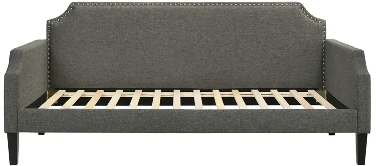 Coaster Olivia Upholstered Twin Daybed Grey