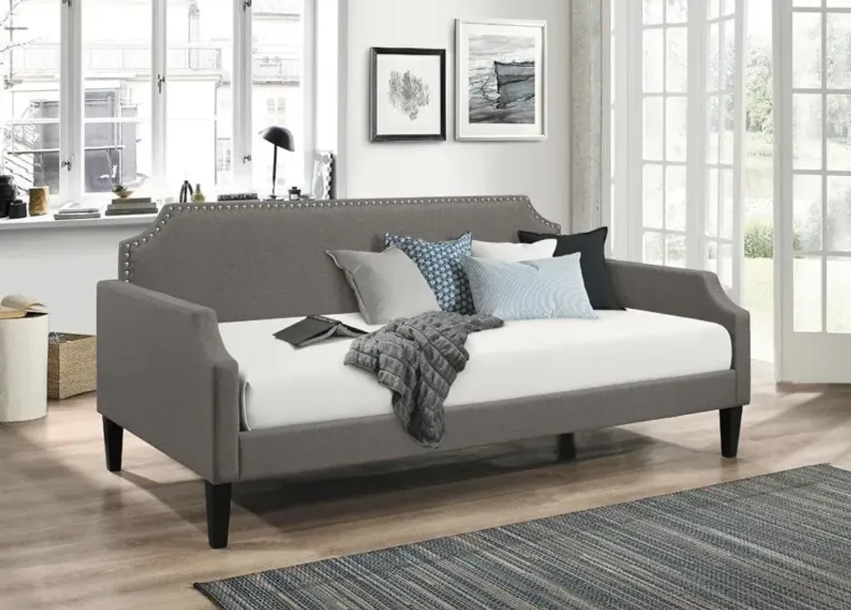 Coaster Olivia Upholstered Twin Daybed Grey