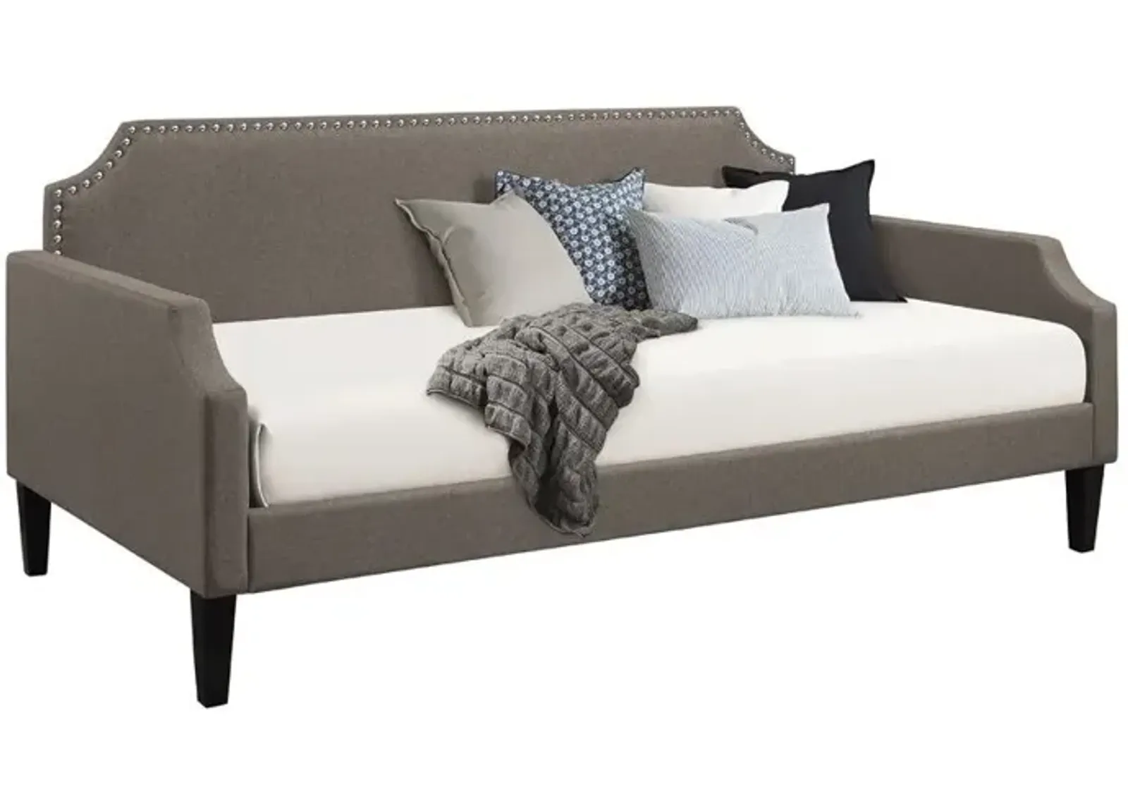 Coaster Olivia Upholstered Twin Daybed Grey