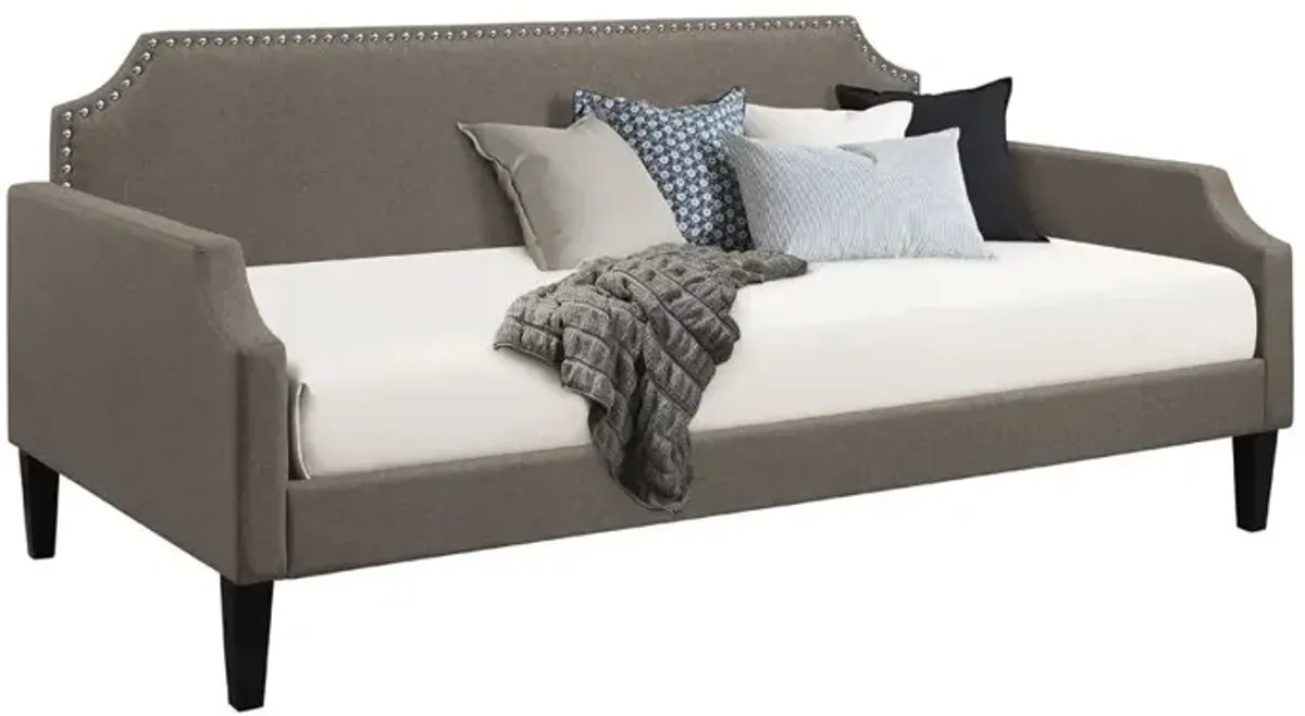 Coaster Olivia Upholstered Twin Daybed Grey