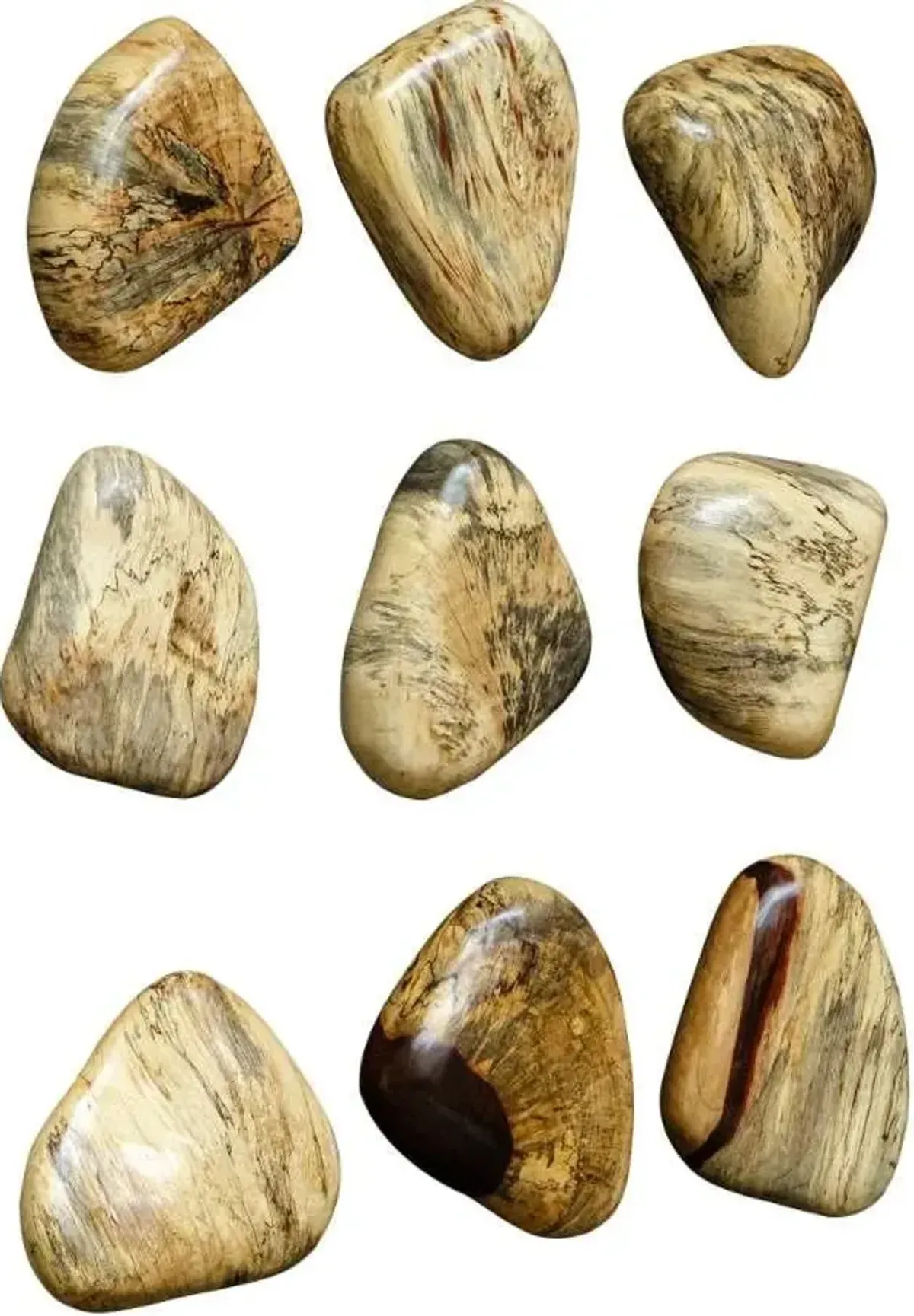 Uttermost Pebbles 9-Piece Natural Blonde Wall Decor Set