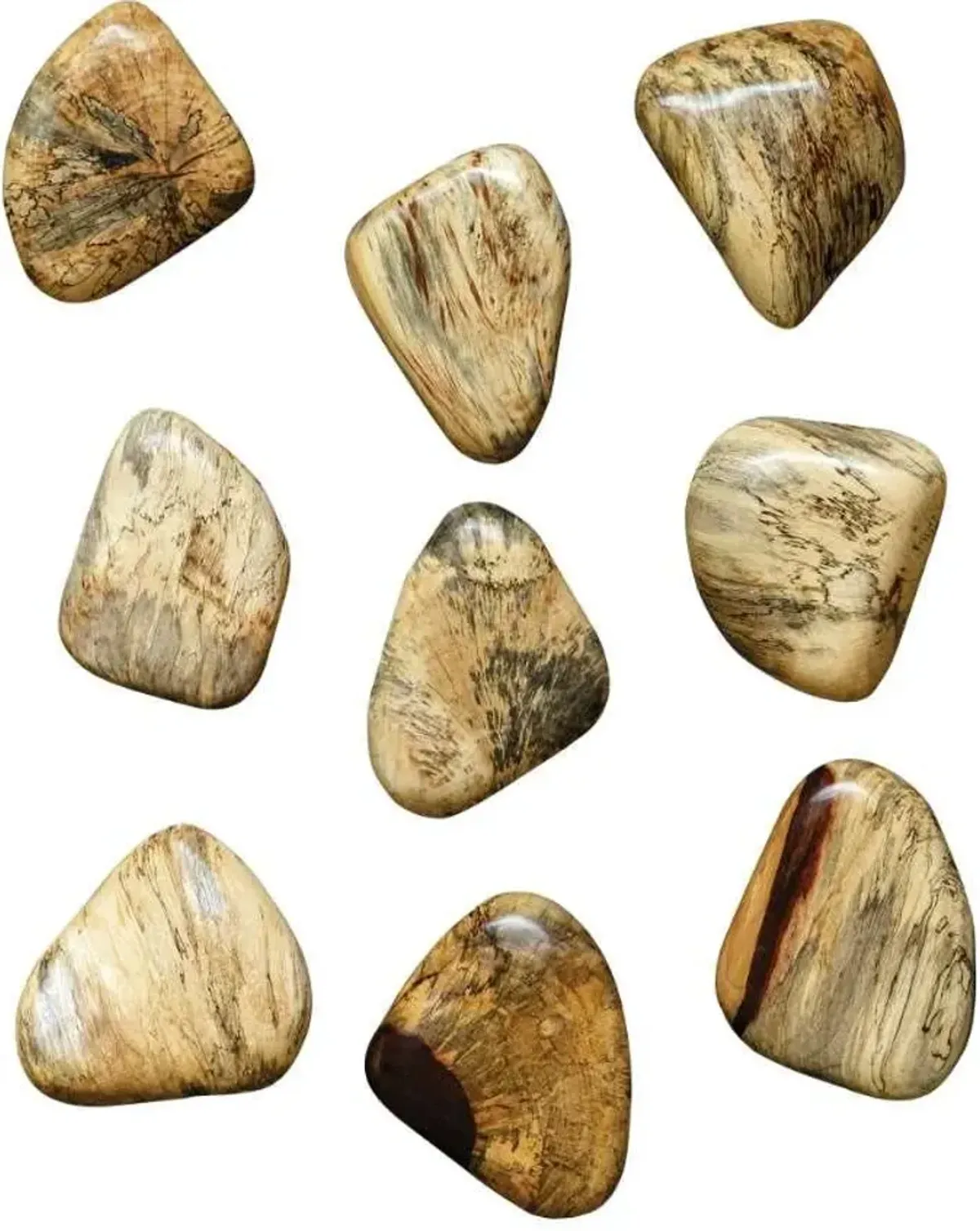 Uttermost Pebbles 9-Piece Natural Blonde Wall Decor Set