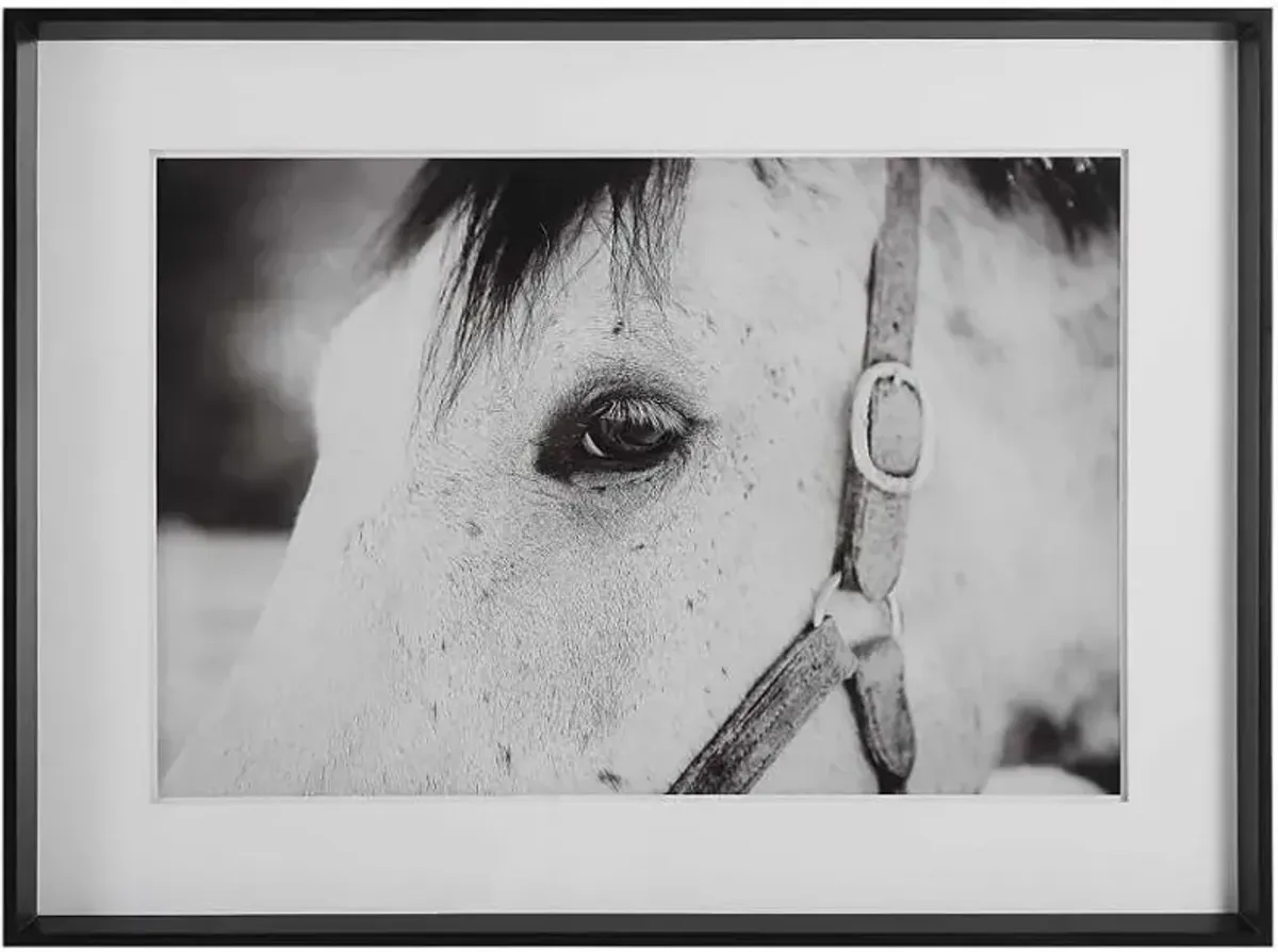 Uttermost Eye of The Beholder Black/White Framed Print Wall Art