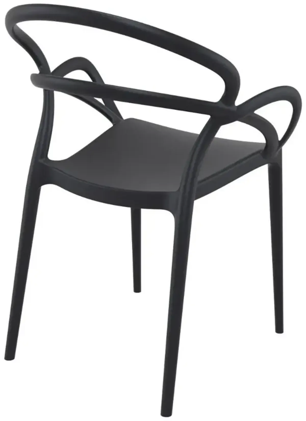 Compamia Mila Dining Arm Chair Black