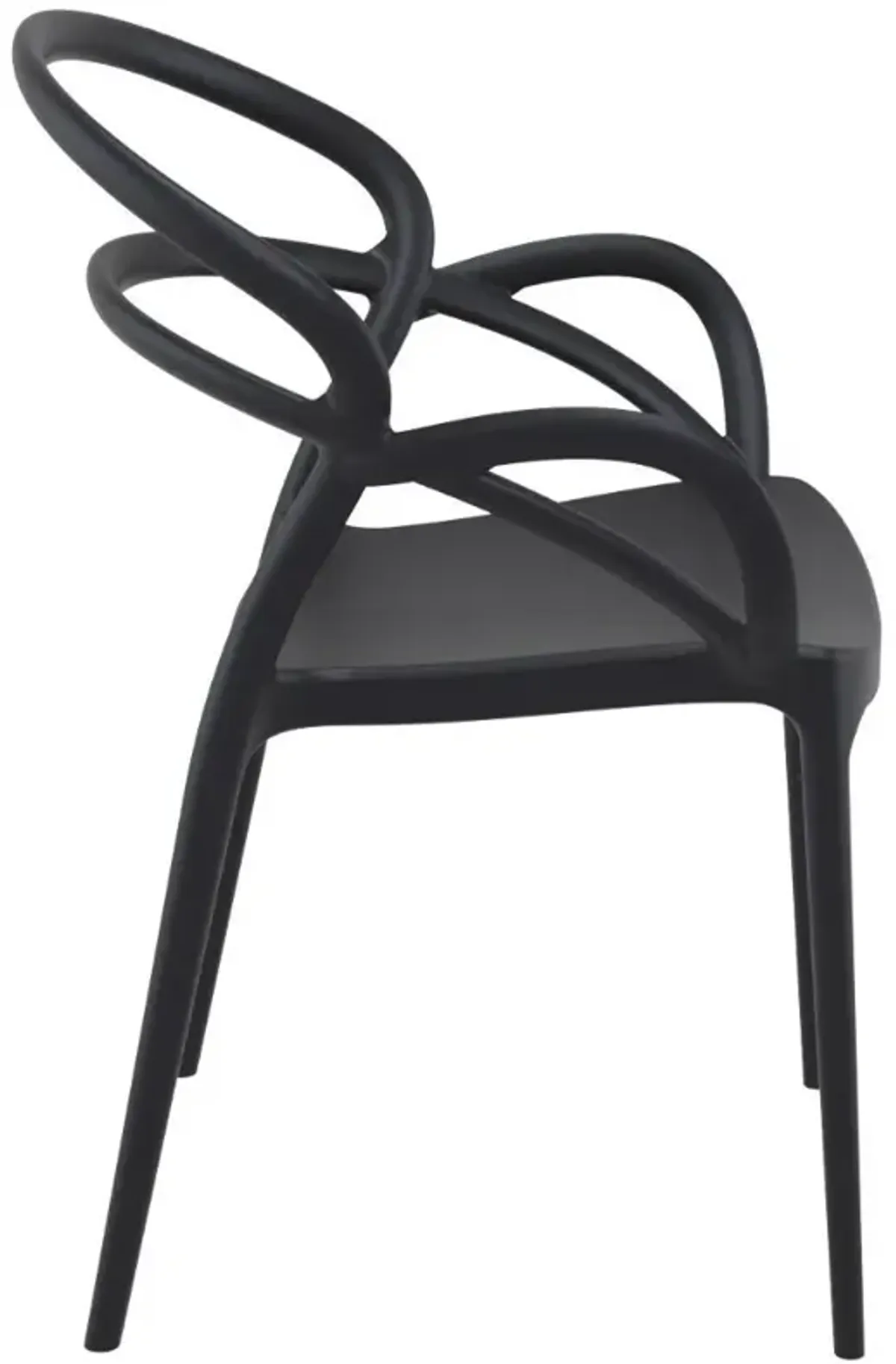 Compamia Mila Dining Arm Chair Black