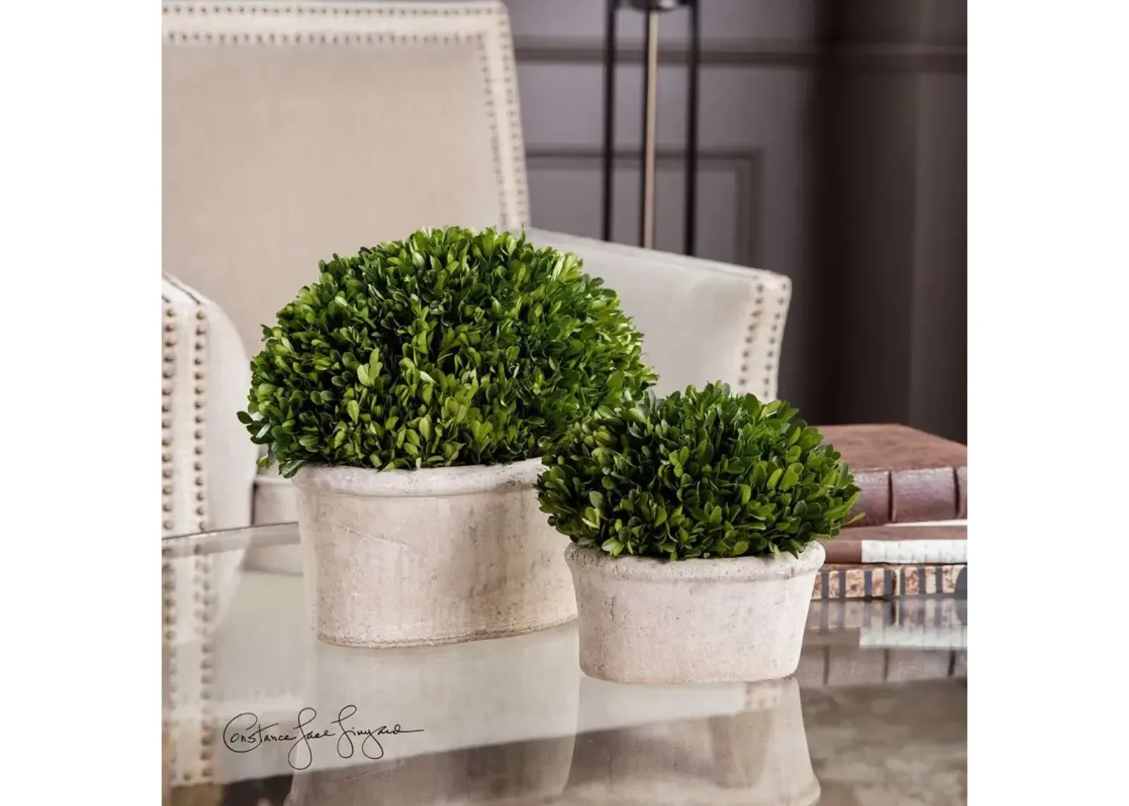 Uttermost Oval Domes Preserved Boxwood 2-Piece Foliage