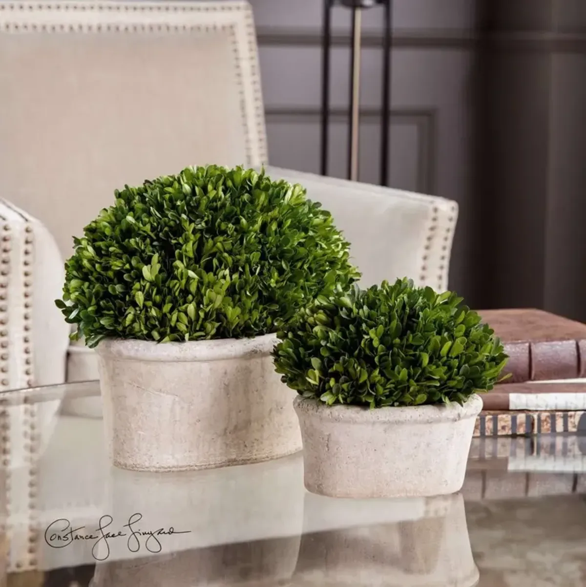 Uttermost Oval Domes Preserved Boxwood 2-Piece Foliage