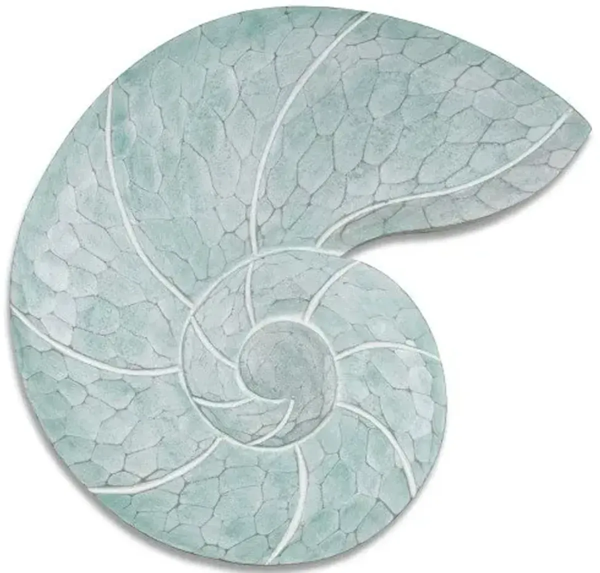 T.I. Design Nautilus Shell Seafoam Wall Art