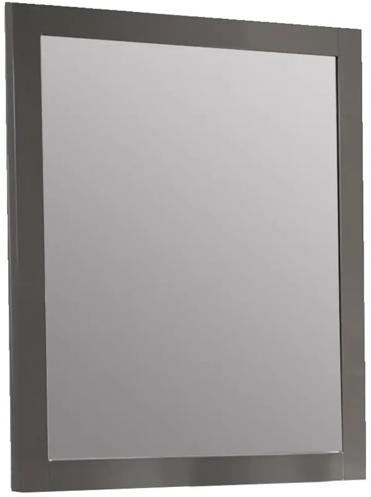 Chintaly Delhi Contemporary Dresser Accent Mirror