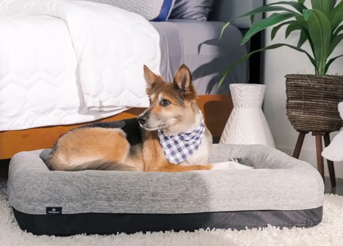 Bedgear Small Performance Dog Bed