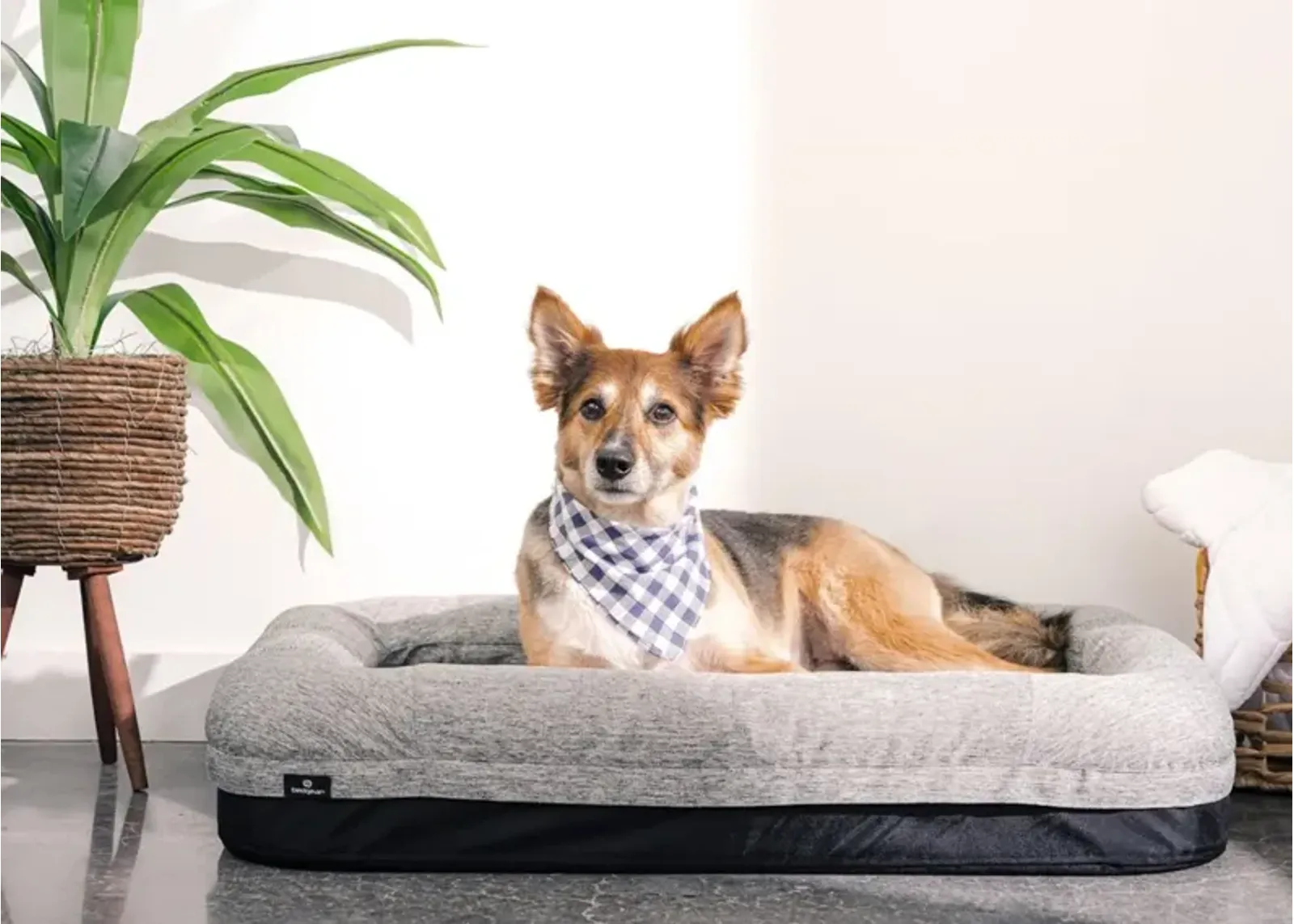 Bedgear Small Performance Dog Bed