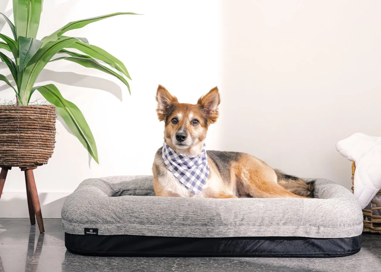 SMALL PERFORMANCE DOG BED
