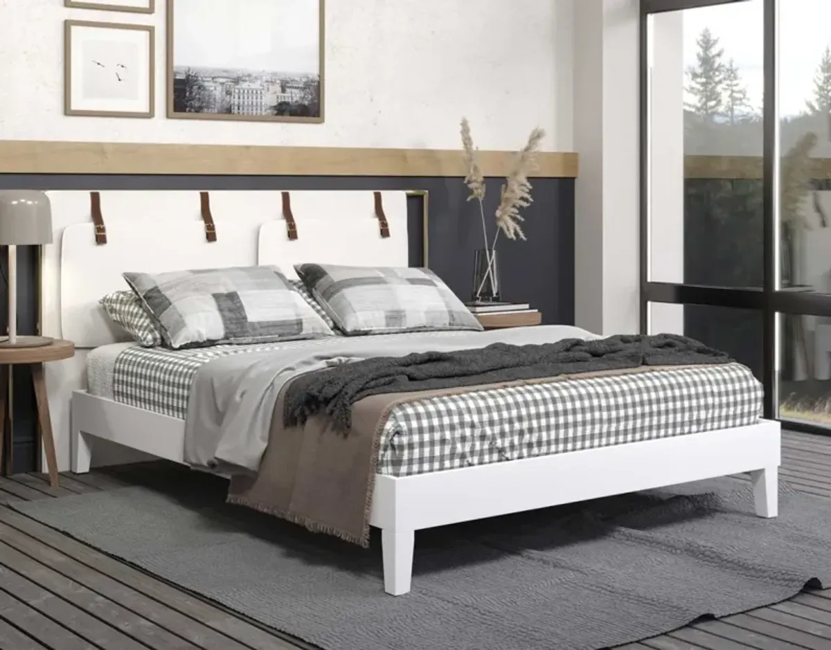 Steve Silver Nix Queen Platform Bed White