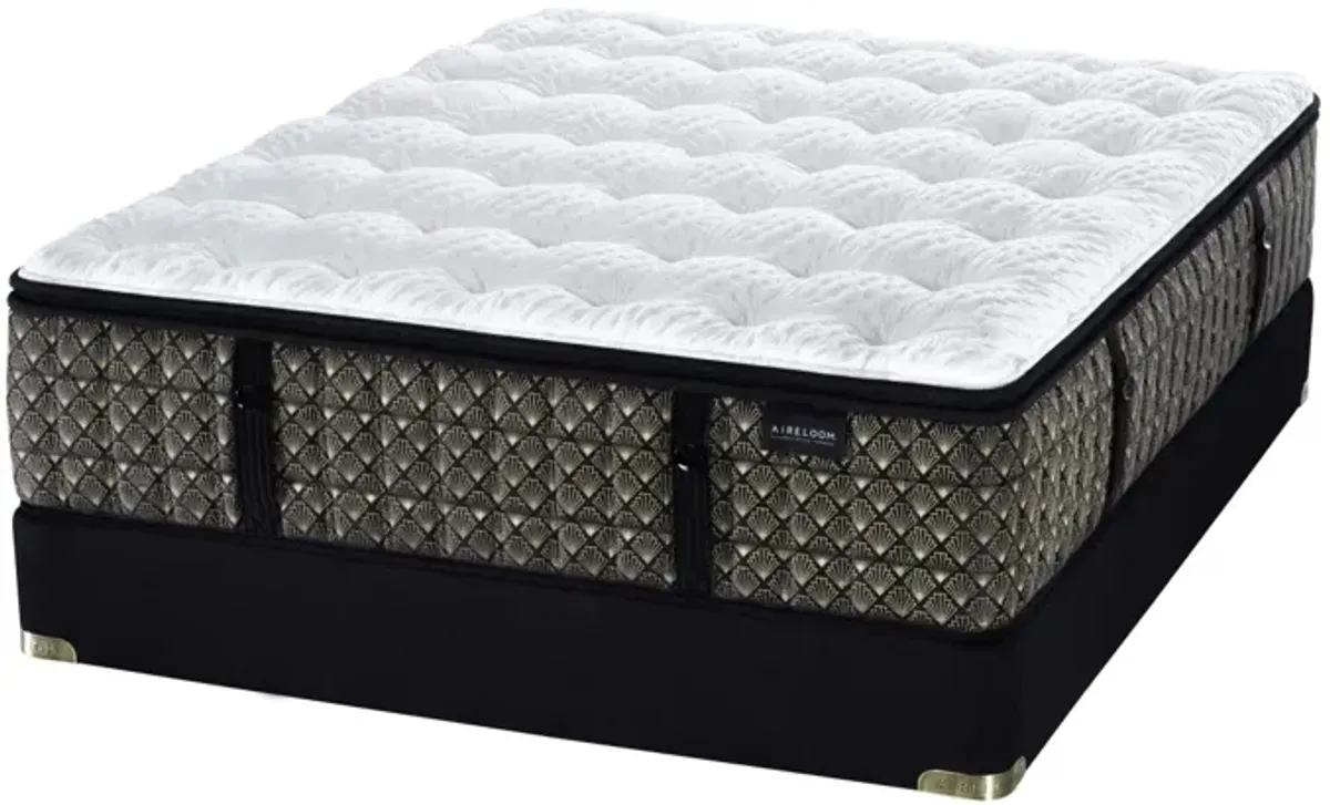 Aireloom Streamline M2 + Queen Plush Mattress