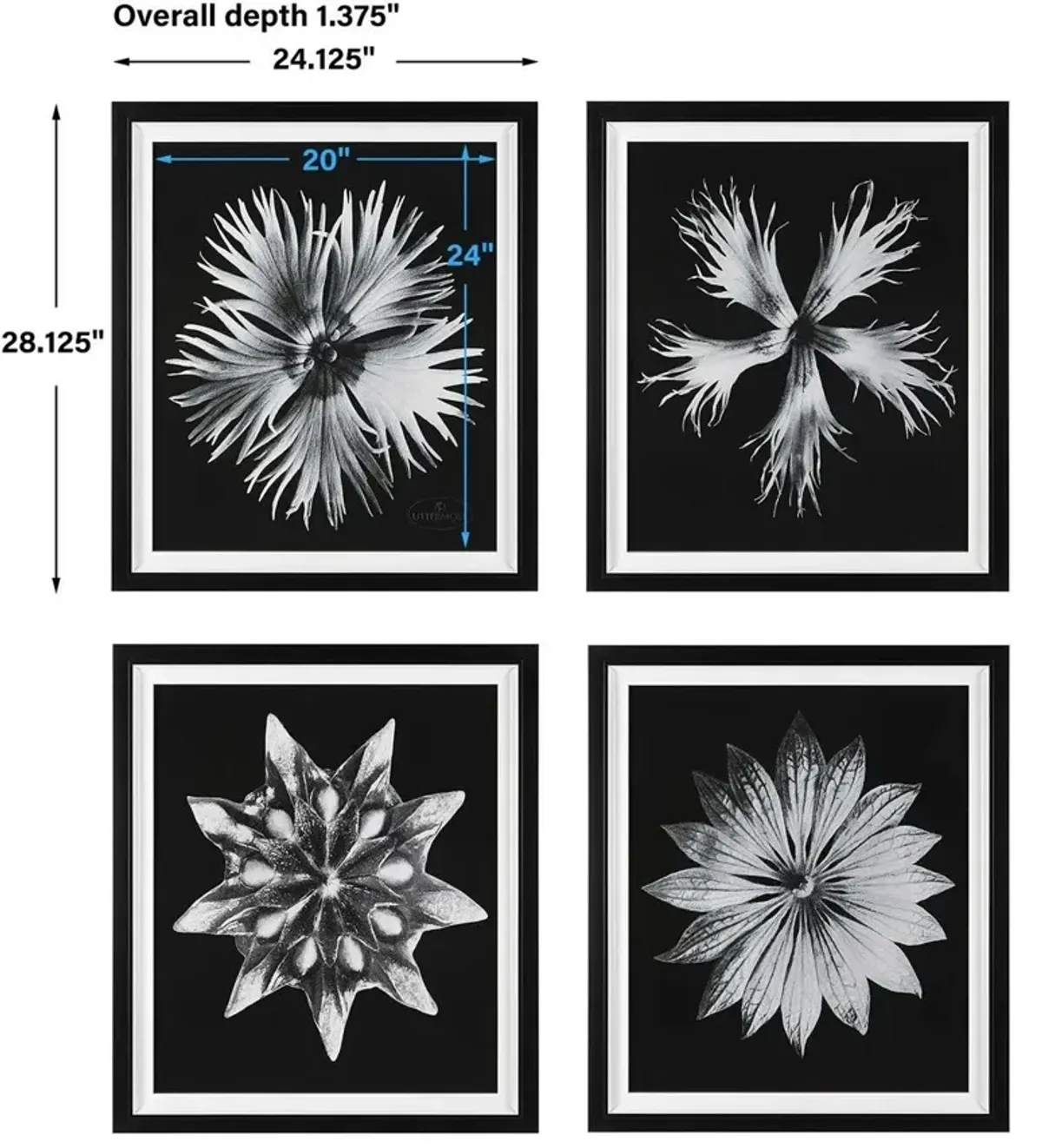 Uttermost Contemporary Floret 4-Piece Black/White Framed Prints Set Wall Art