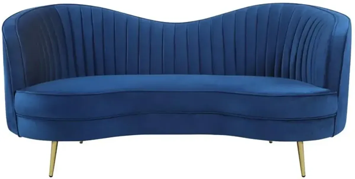 Coaster Sophia Upholstered Channel Tufted Loveseat Blue