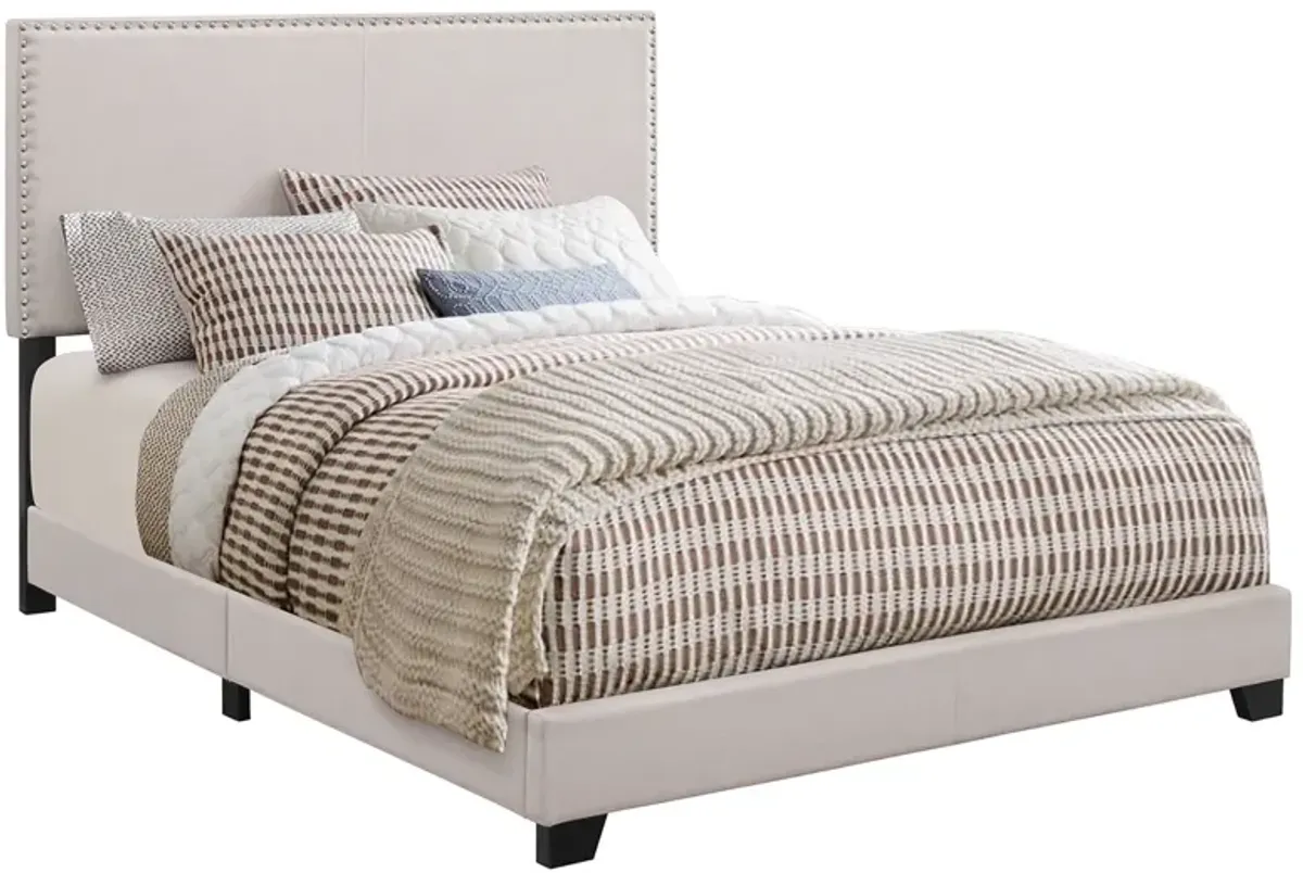 Coaster Boyd Upholstered California King Panel Bed Ivory