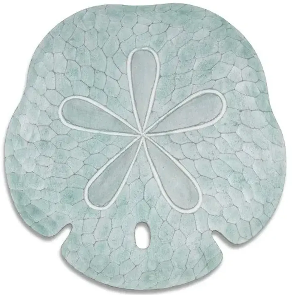 T.I. Design Sand Dollar Seafoam Wall Art