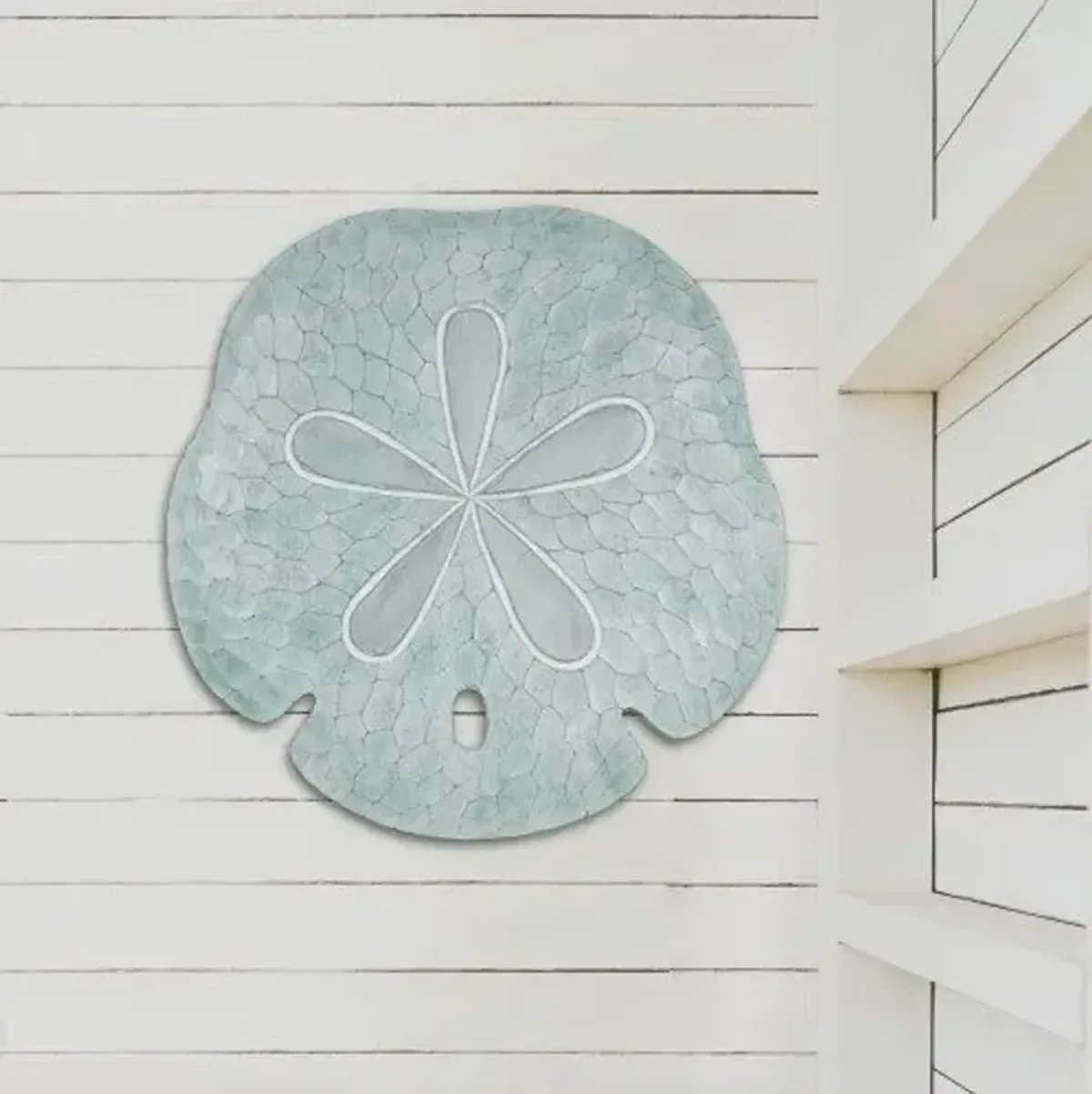 T.I. Design Sand Dollar Seafoam Wall Art