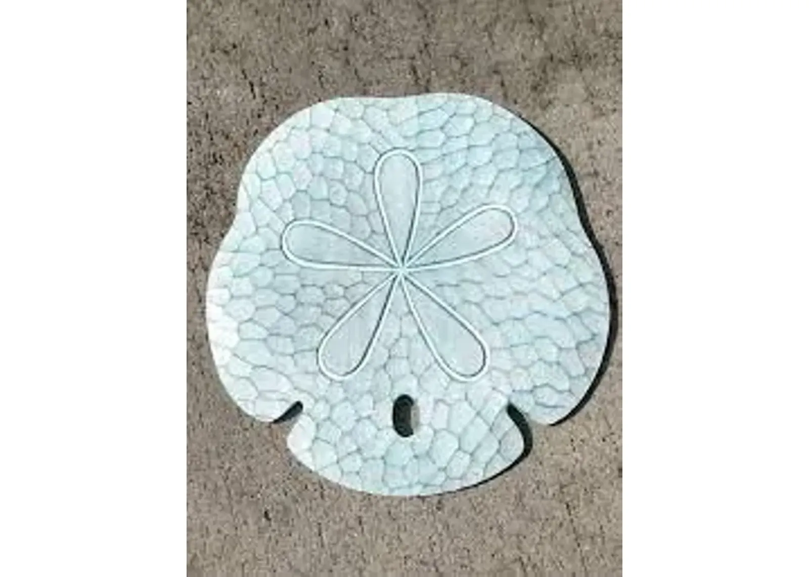 T.I. Design Sand Dollar Seafoam Wall Art