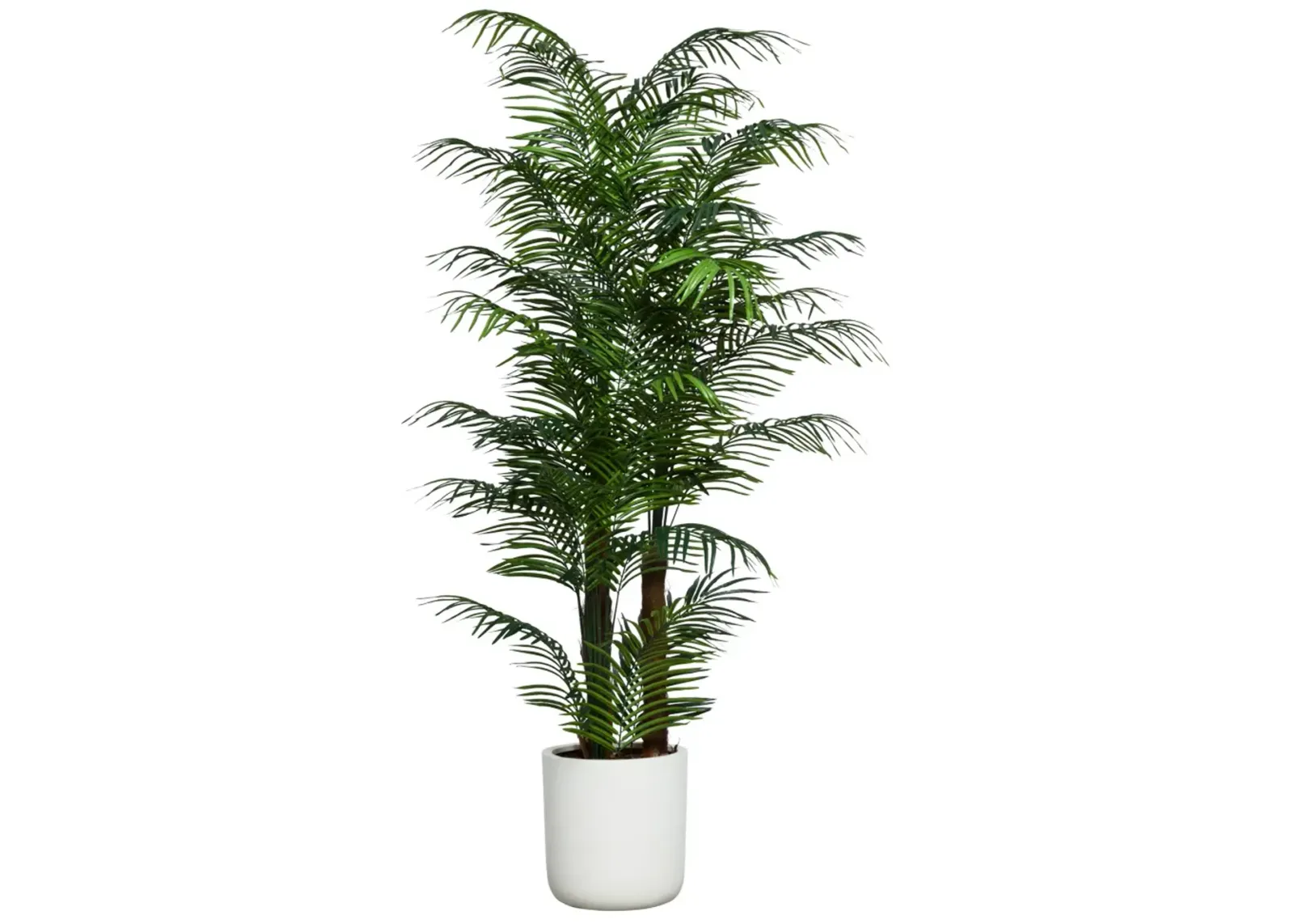 Lux Art Areca Waterlike Palm Manzanita