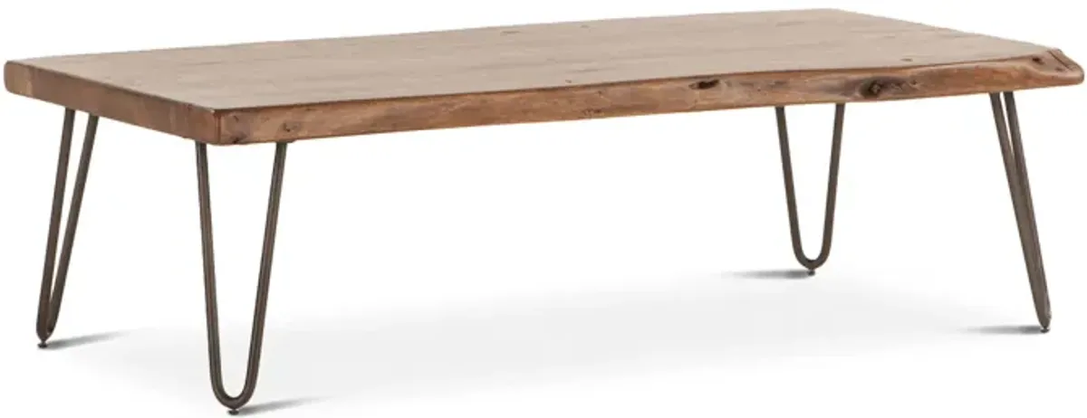 Home Trends Design Vail Acacia Wood Live Edge Coffee Table in Walnut Finish