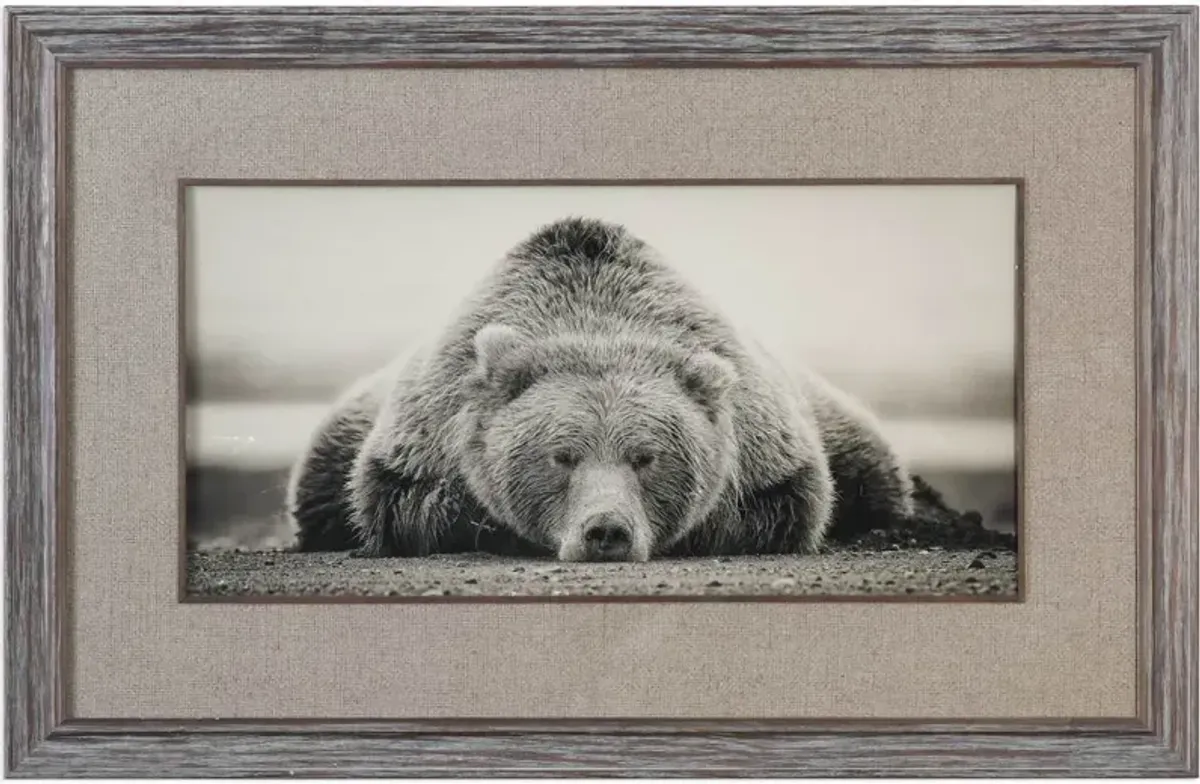 Uttermost Deep Sleep Sepia Bear Print Wall Art