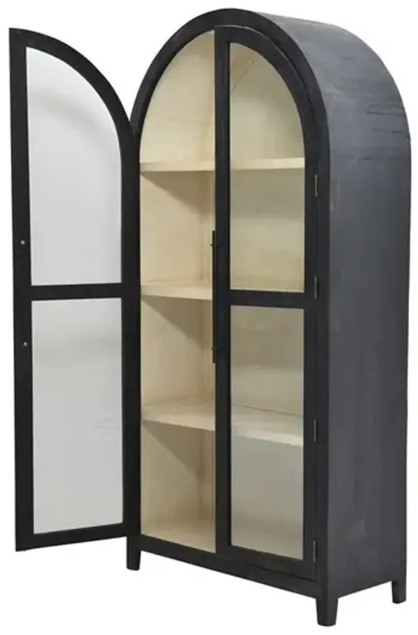 Noble Furniture 89 Inch Curved Showcase Cabinet with Aspen Interior & Vail Exterior