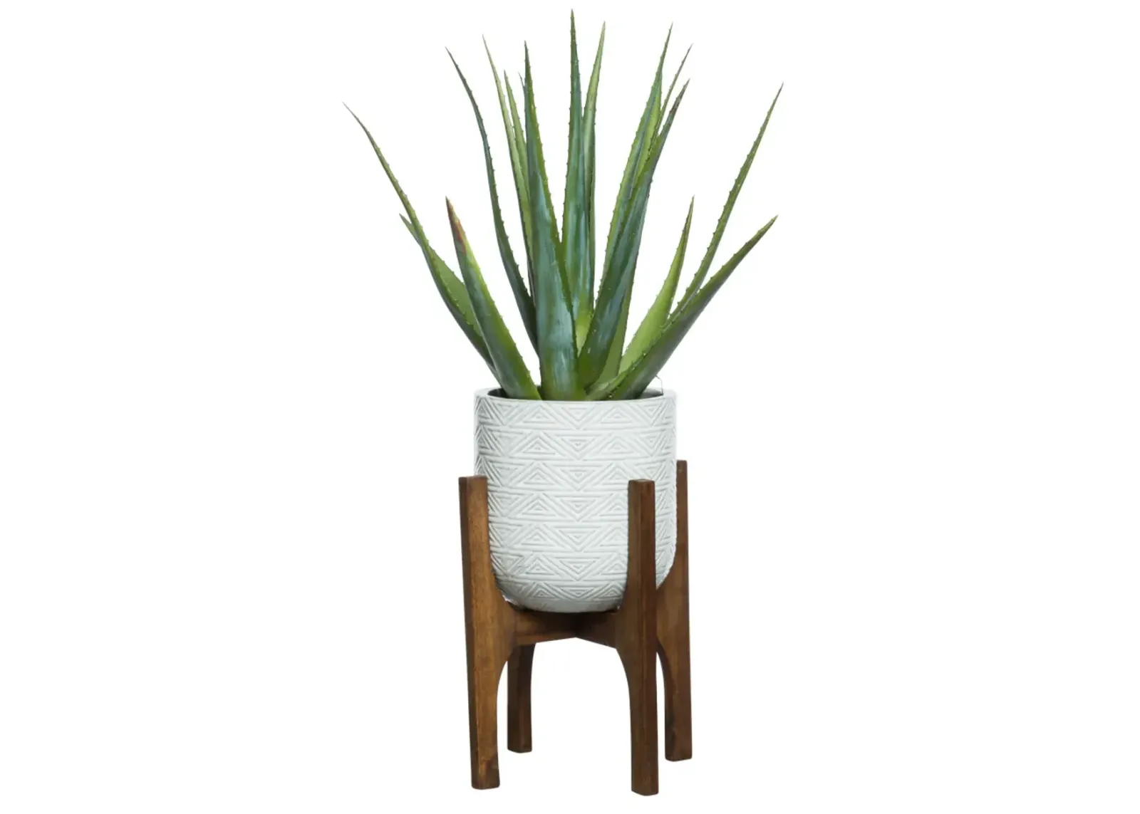 Aloe In White Textured Plant Stand