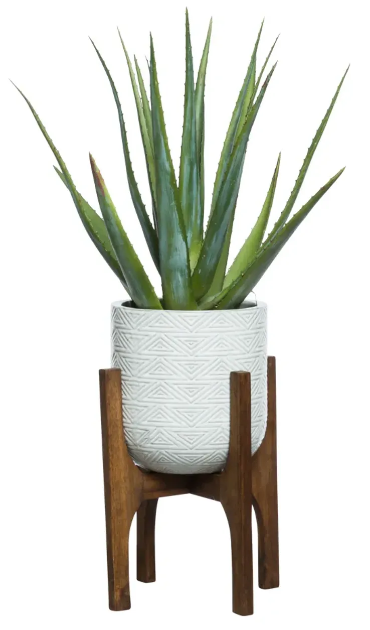 ALOE IN WHITE TEXTURED PLANT STAND / 36? H X 19? W X 19? D