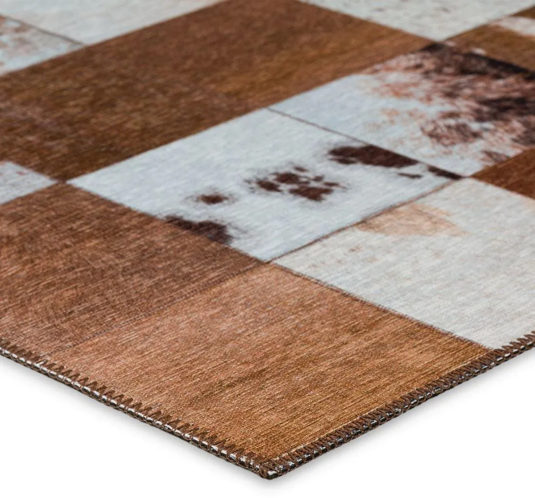 STETSON DRIFTWOOD 5'X8' AREA RUG