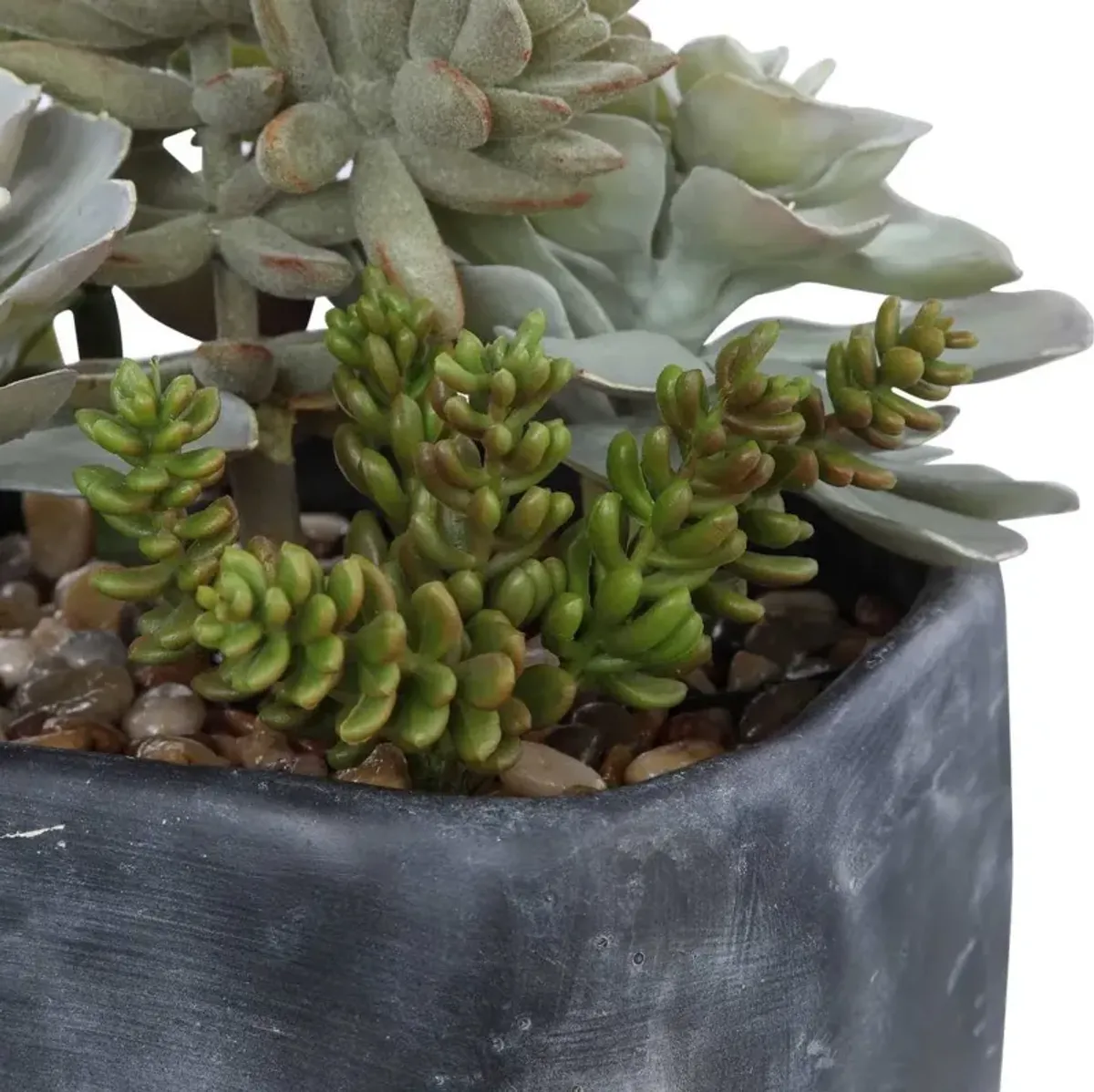 Uttermost Alverio Desert Garden Succulents