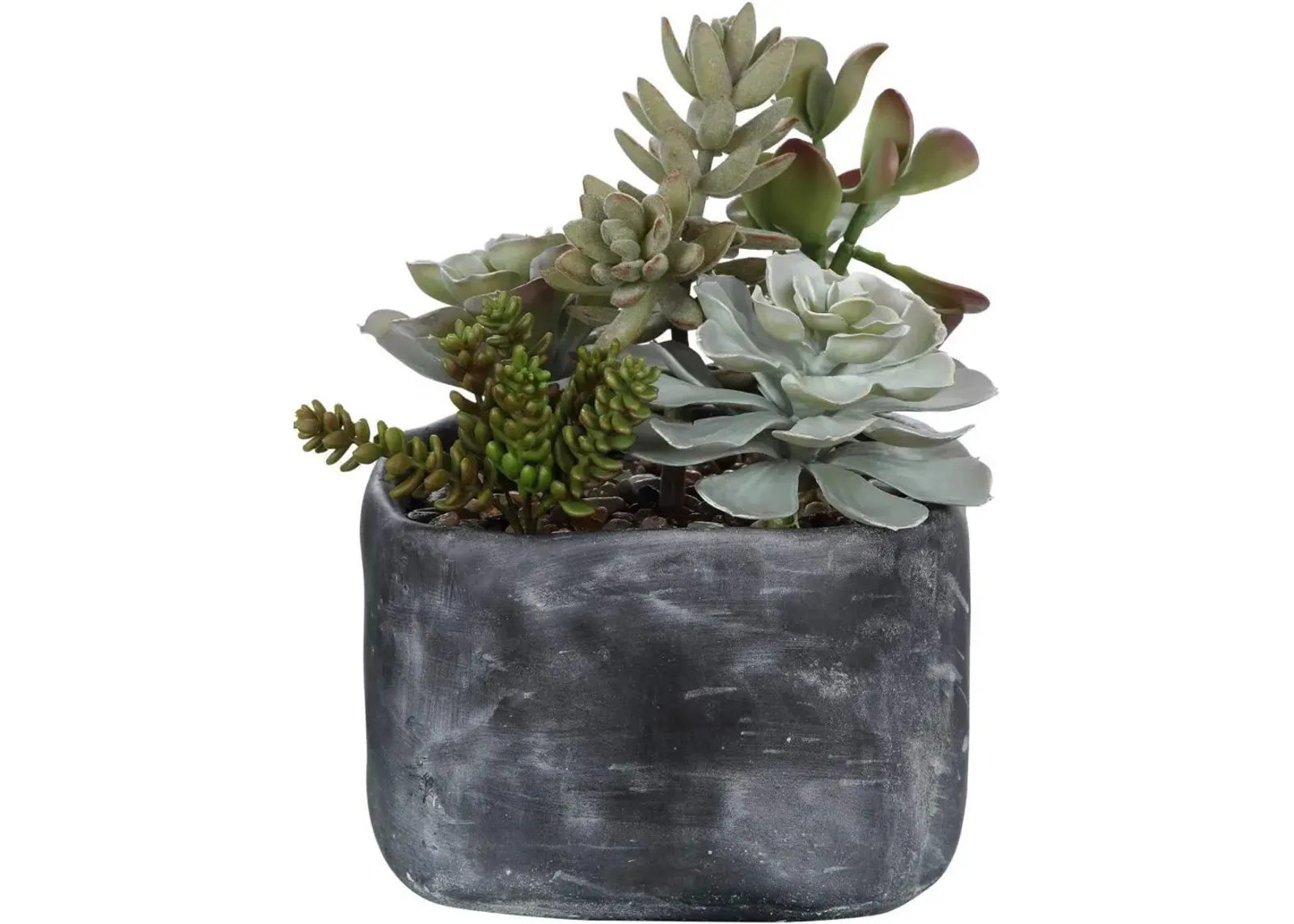 Uttermost Alverio Desert Garden Succulents