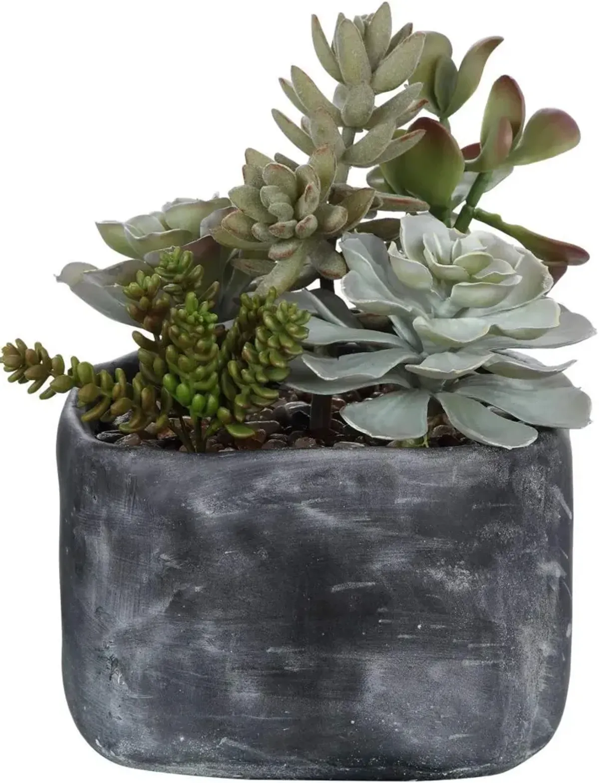 Uttermost Alverio Desert Garden Succulents