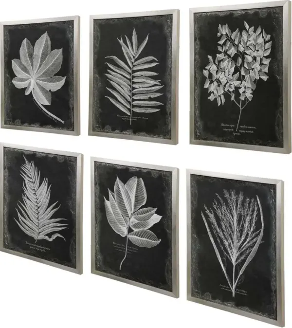 Uttermost Foliage 6-Piece Black/White Framed Prints Wall Art