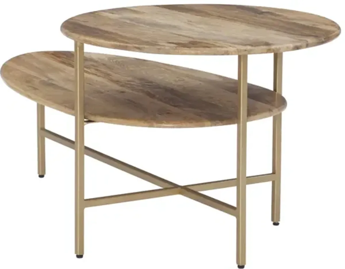 Powell Tavin 2-Tiered Coffee Table Natural Gold