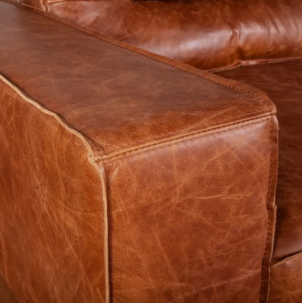 Home Trends Design Portofino Modern Leather Sofa in Vintage Cognac