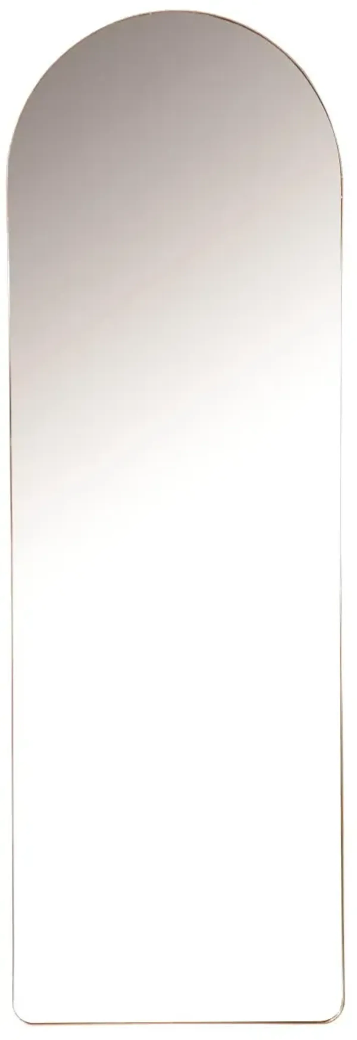 Coaster Stabler 20 X 60 Inch Metal Framed Floor Mirror Rose Gold