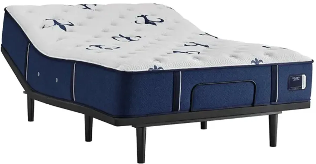 Stearns & Foster Studio King Medium Tight-Top Mattress