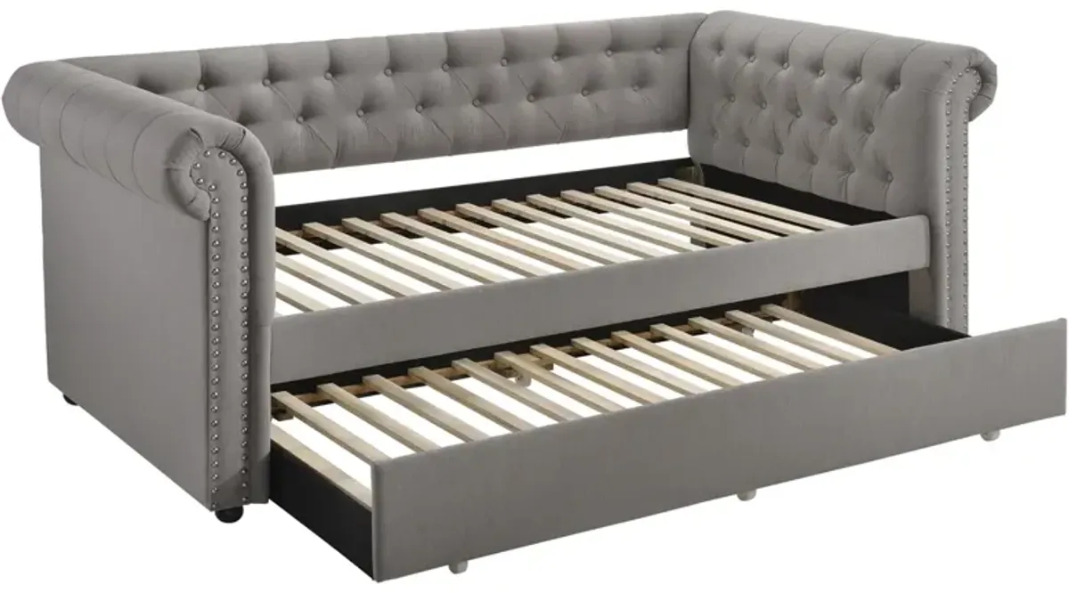 Coaster Kepner Upholstered Twin Daybed with Trundle Grey