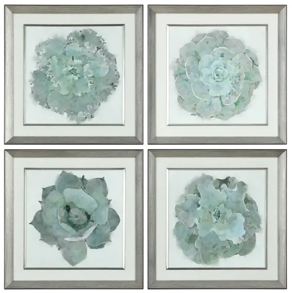 Uttermost Natural Beauties Wall Art Set of 4