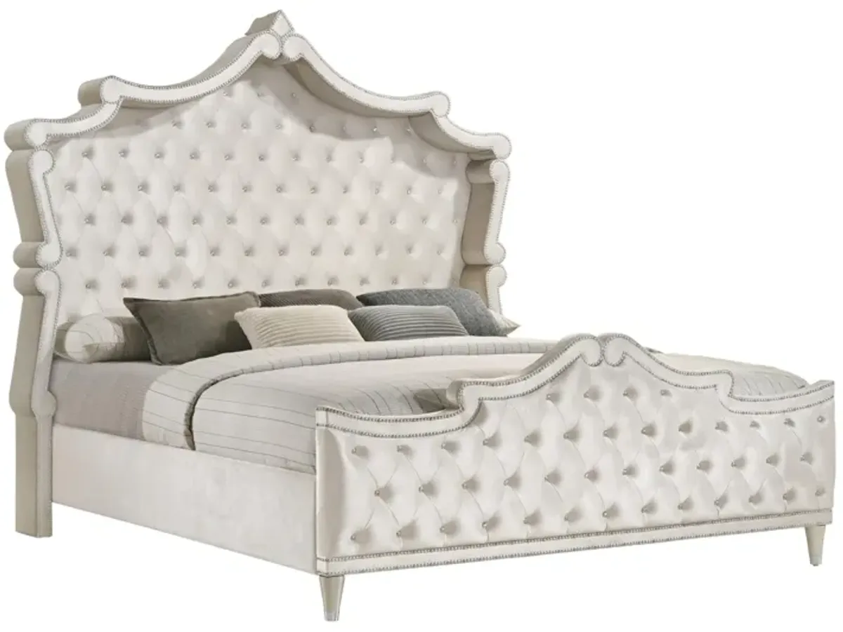 Coaster Antonella Upholstered Queen Panel Bed Ivory & Camel