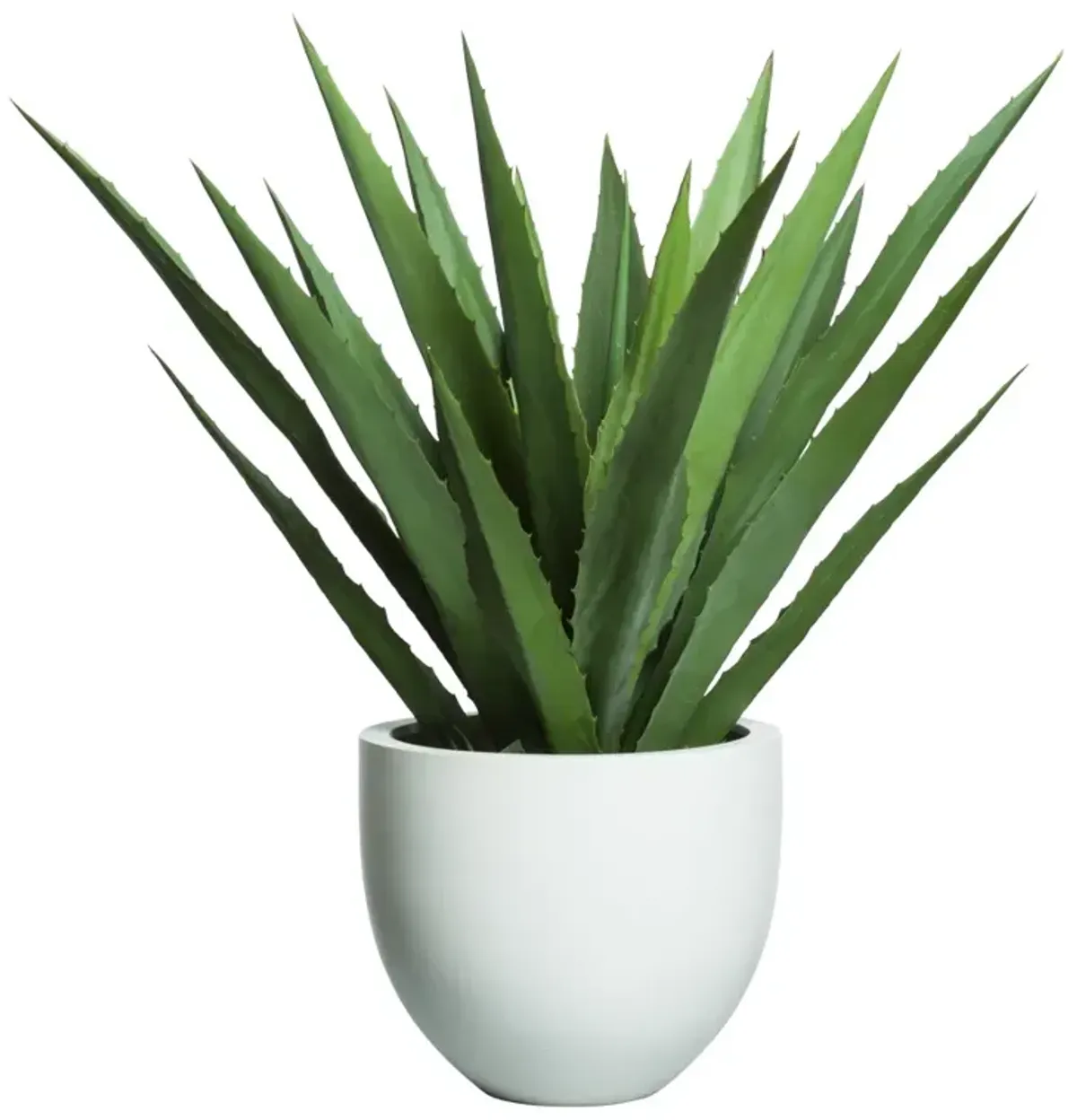 Lux Art Large Aloe in White Round Tapered Sandstone Pot