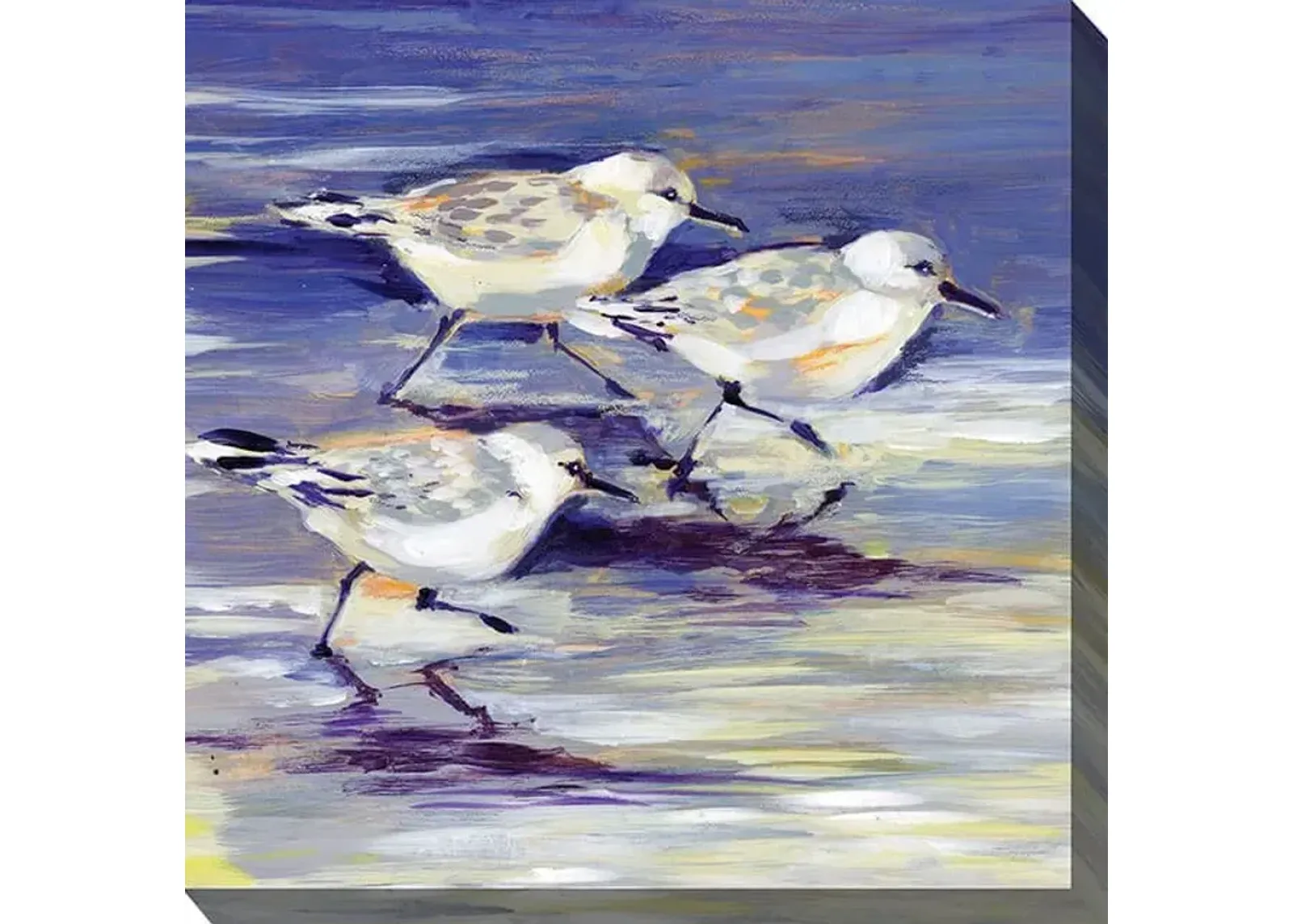 West of The Wind Sandpipers 24X24 All Season Outdoor Canvas Art