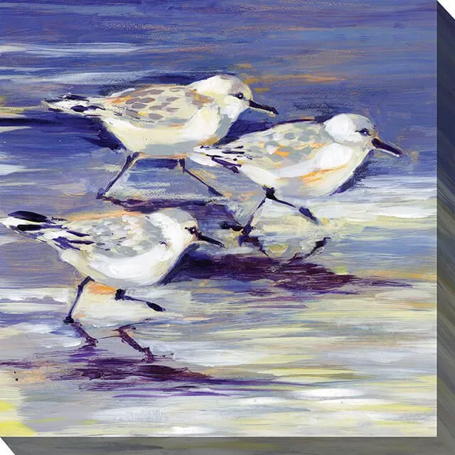 SANDPIPERS 24X24