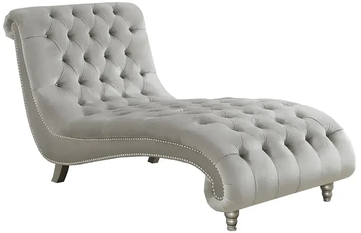 Coaster Lydia Velvet Upholstered Tufted Chaise Grey