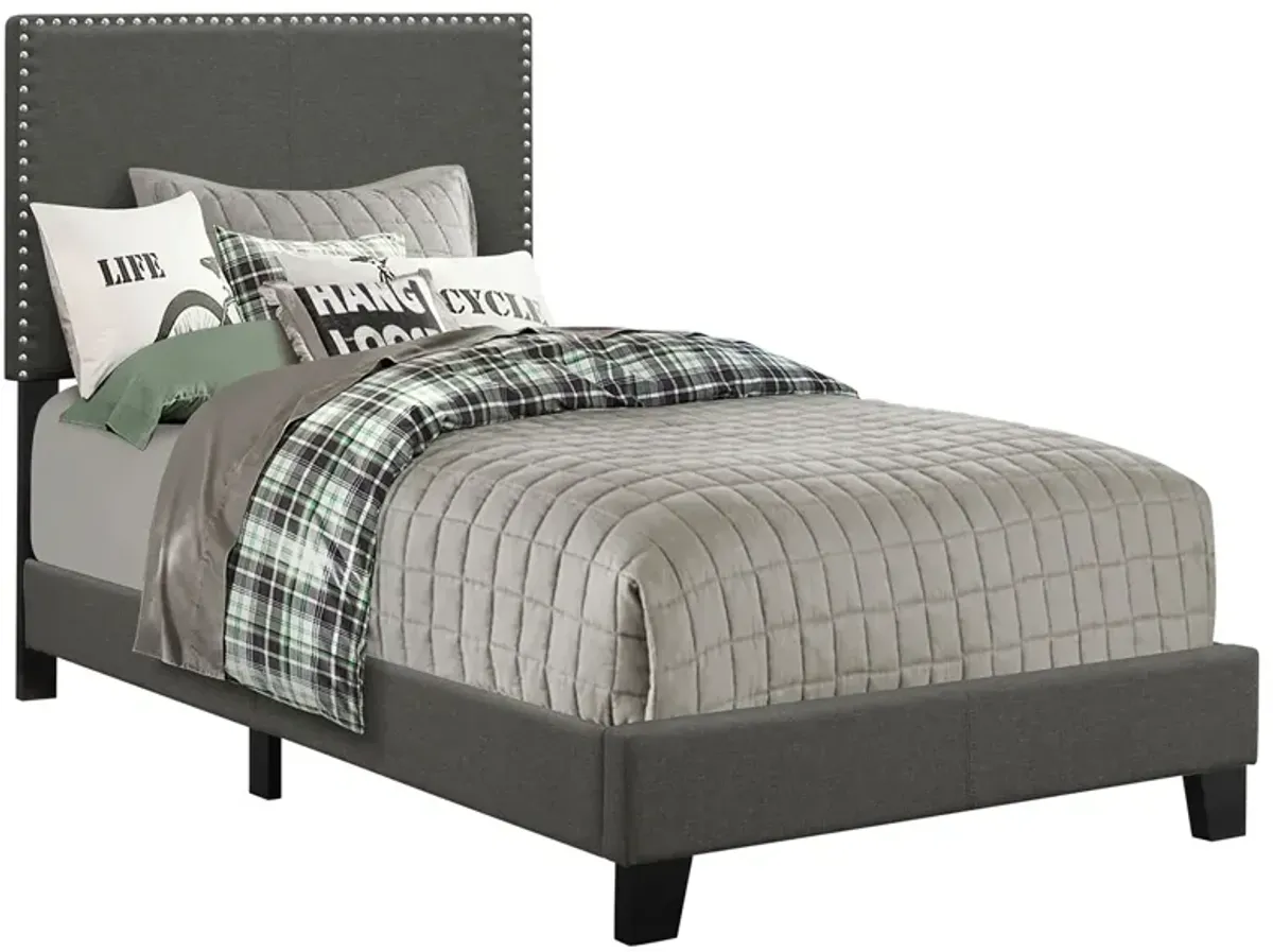 Coaster Boyd Upholstered Twin Panel Bed Charcoal