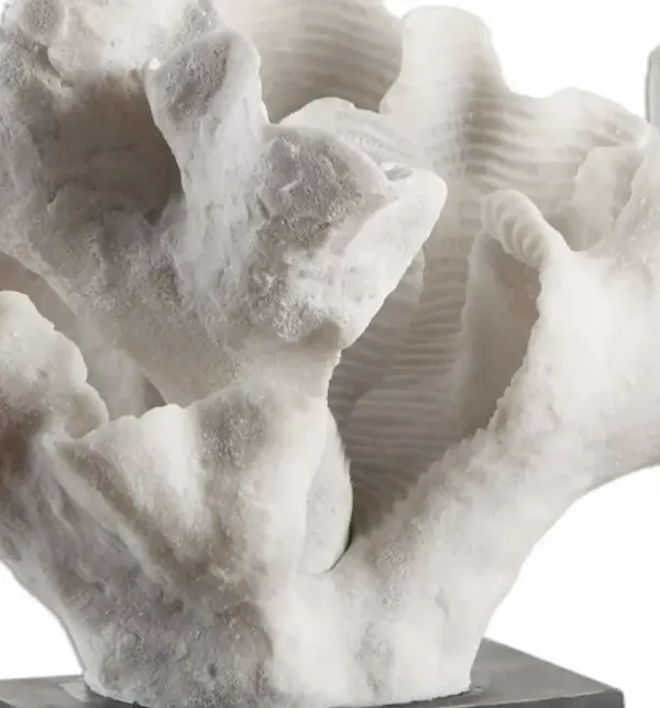 Uttermost Blade White Coral