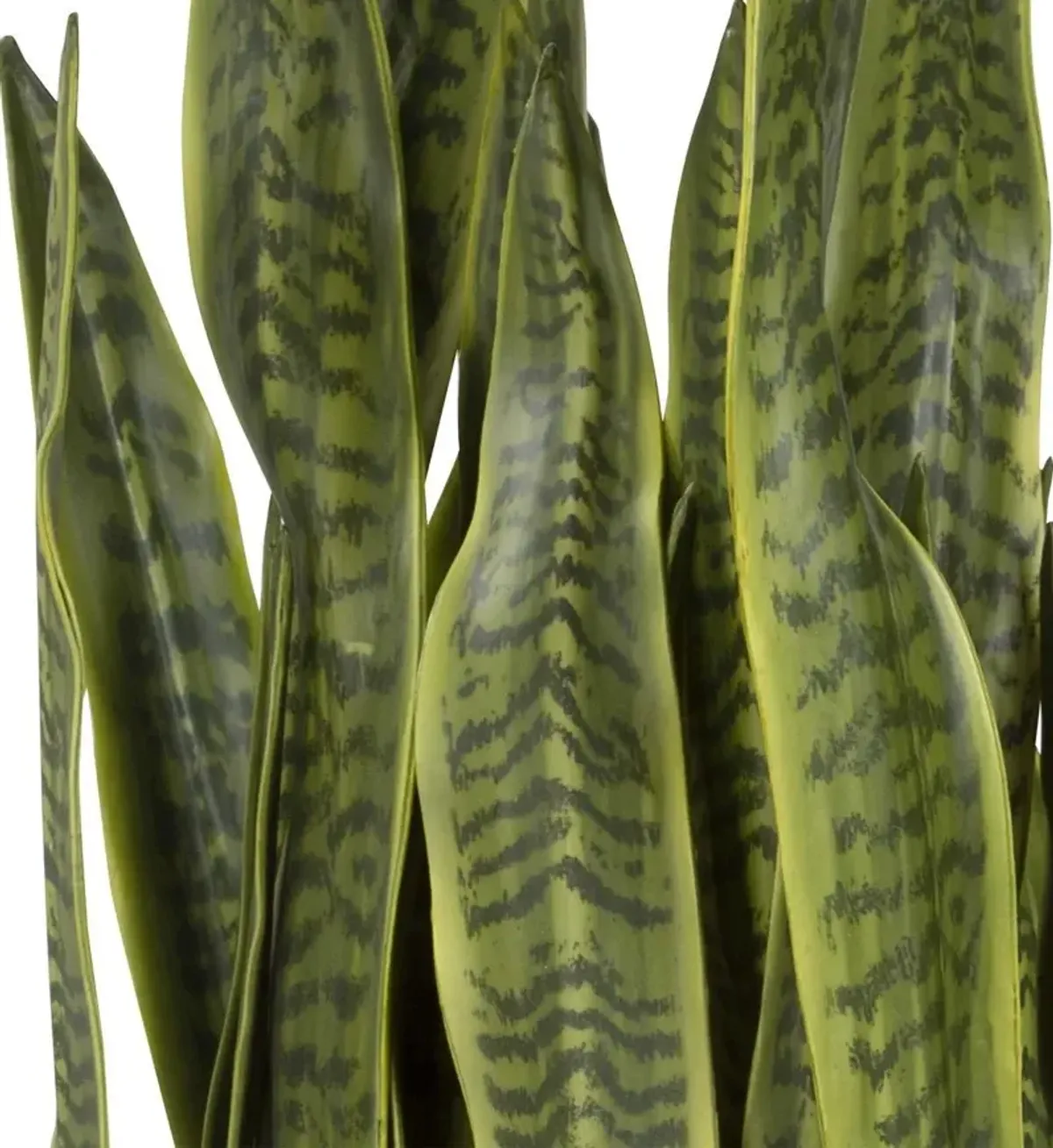 Uttermost Fasita 2-Cartons Antique Brass Planter